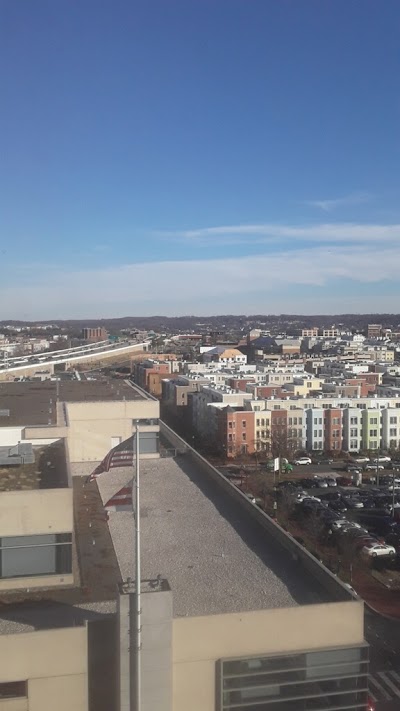 Randall Field photo 5