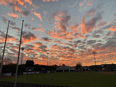 Reckling Park photo 5