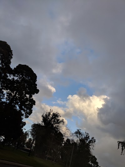 Recreation Park photo 4