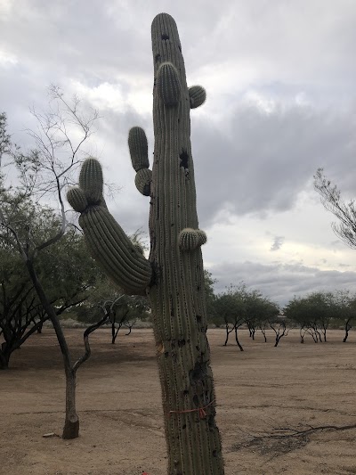 Red Mountain Softball Complex photo 5