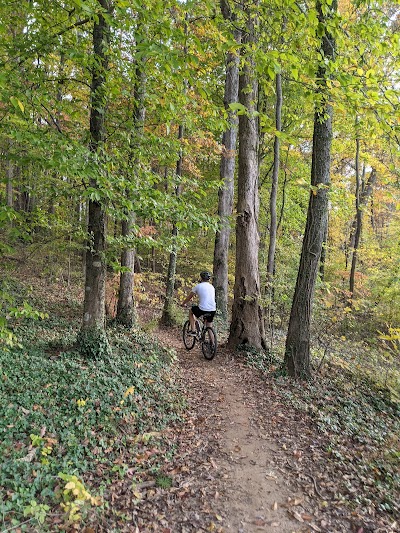 Renaissance Park photo 5