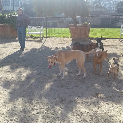 Rikki Streicher Field photo 2