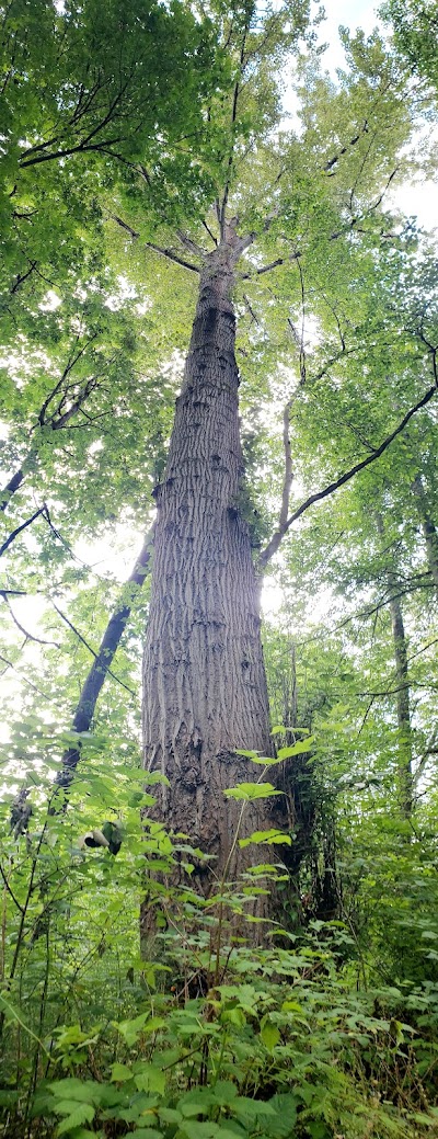 Riverview Playfield Pee Wee Fields photo 2