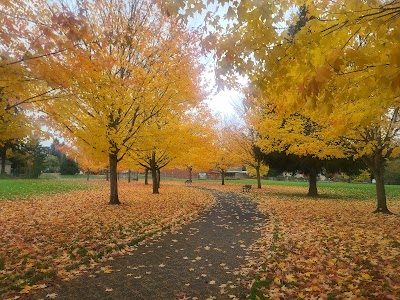Rockwood Park Sports Fields photo 2