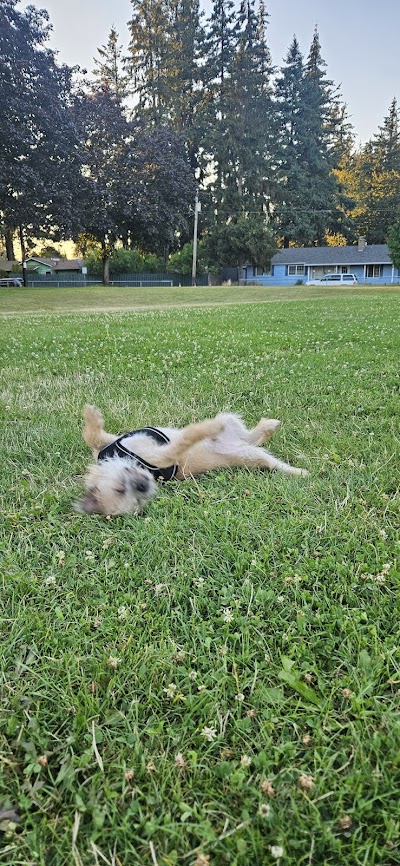 Rockwood Park Sports Fields photo 5