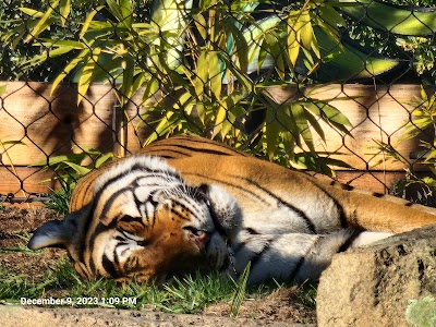 Roeding Park photo 4