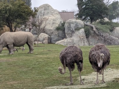 Roeding Park photo 5