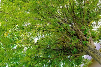 Roger Hanners Recreational Fields photo 4