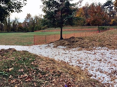 Roland Park Baseball Leagues Memorial Field photo 4