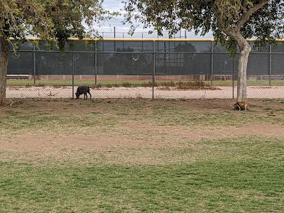 Rose Mofford Sports Complex photo 4