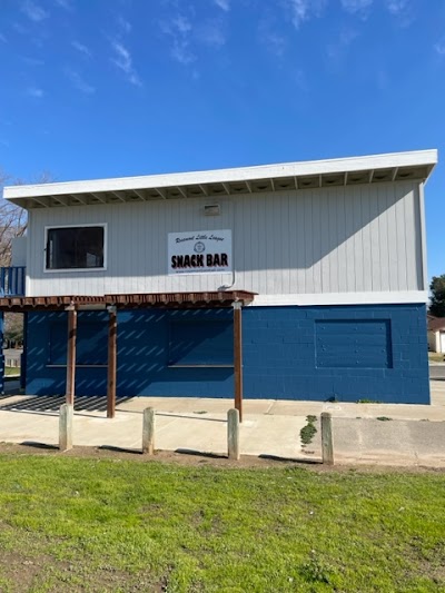 Rosemont Little League photo 3