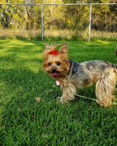 Salt Lake County Athletic Fields (Soccer Practice)