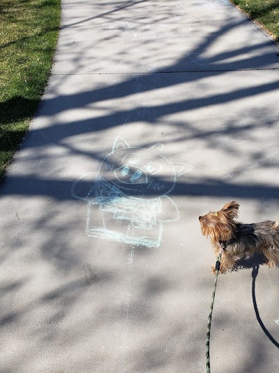 Salt Lake County Athletic Fields (Soccer Practice) photo 2