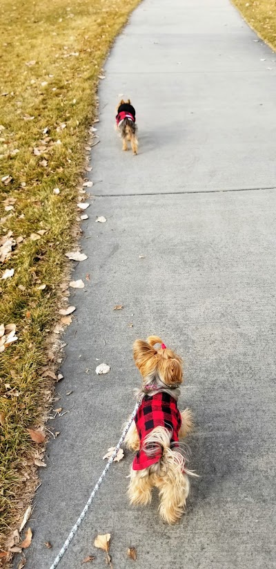 Salt Lake County Athletic Fields (Soccer Practice) photo 3