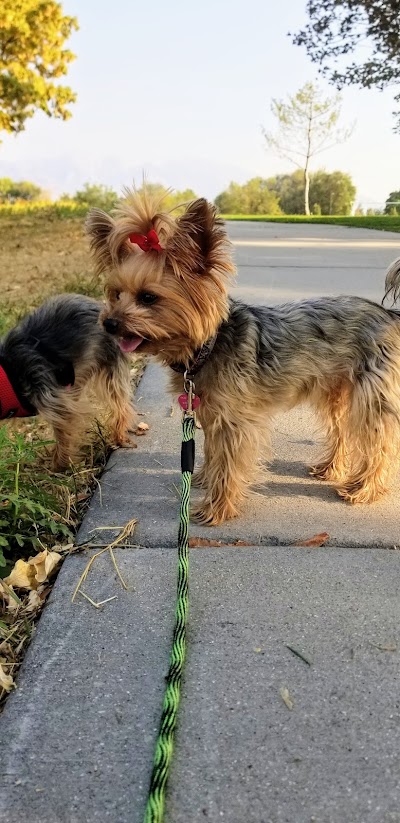Salt Lake County Athletic Fields (Soccer Practice) photo 4