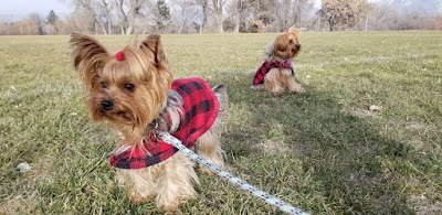 Salt Lake County Athletic Fields (Soccer Practice) photo 5