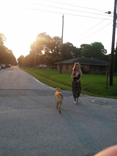 Sam Houston Math, Science and Technology Center Baseball Field photo 4