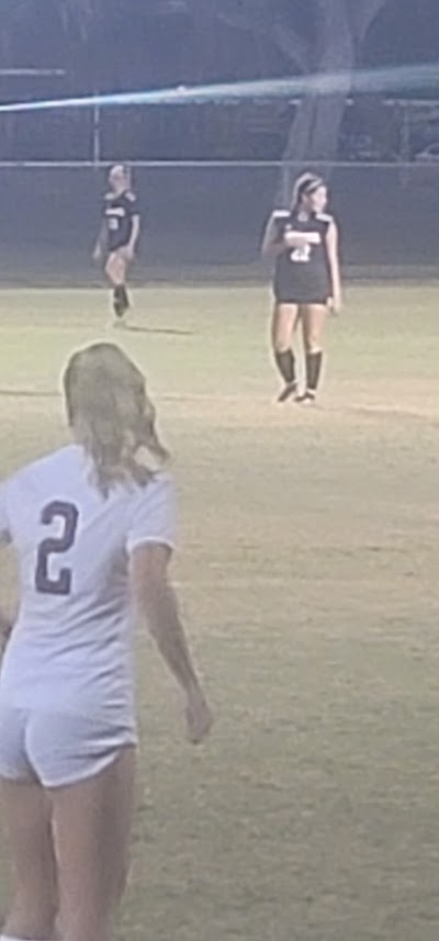 Sarasota High Baseball Field photo 4