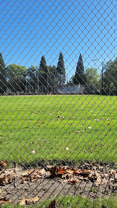 Sckavone Stadium photo 3