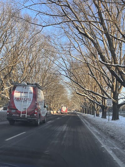 Sckavone Stadium photo 4