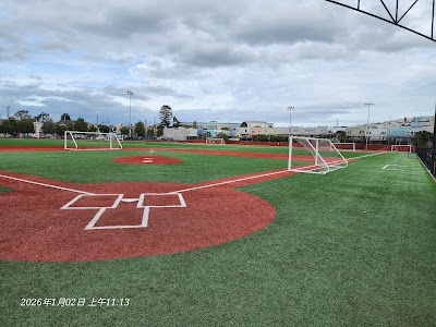 Silver Terrace Athletic Fields