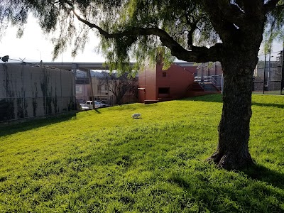 Silver Terrace Athletic Fields photo 3