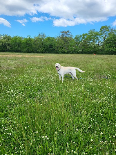 Six Diamonds photo 5