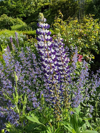 Snug Harbor Little League photo 4