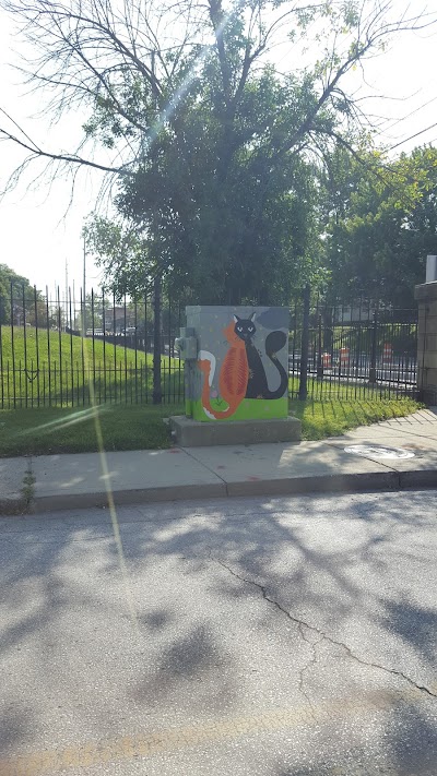 Soccer & Softball Field photo 3