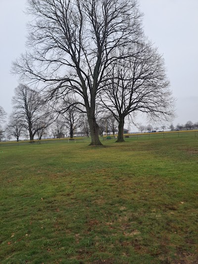 Softball fields photo 2