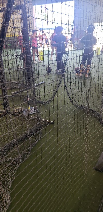 Softball Performance Workshop photo 3