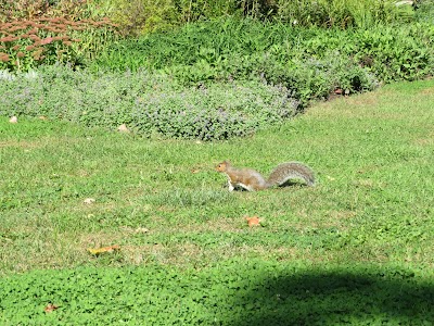South Ball Field 5 photo 4
