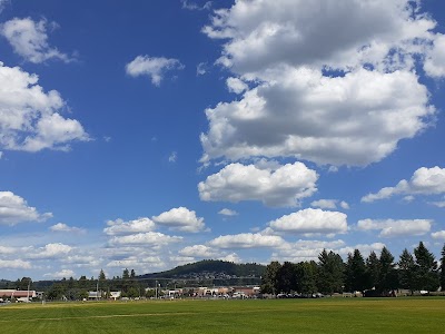 South Hill Sports Complex photo 3