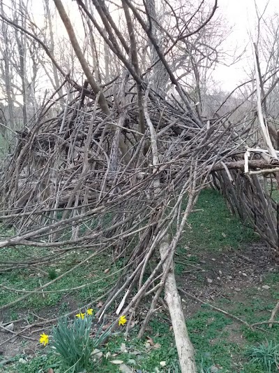 Stony Run Field photo 5