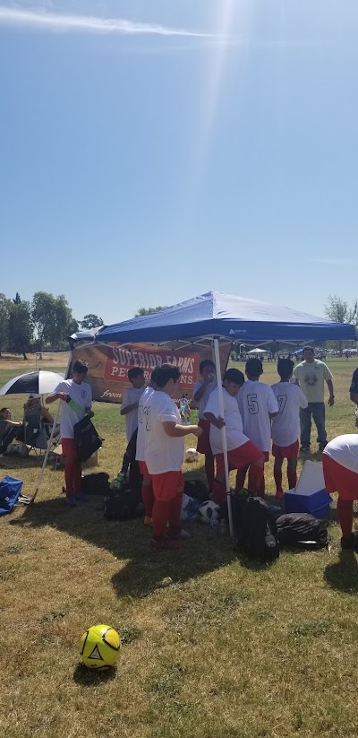 Sunrise Girls Softball photo 2