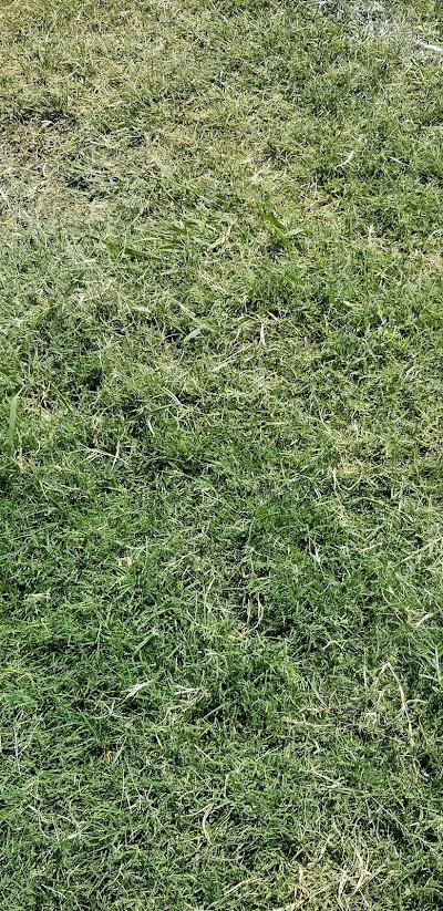 Sunrise Girls Softball photo 3