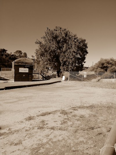 Sunshine Berardini Park photo 4