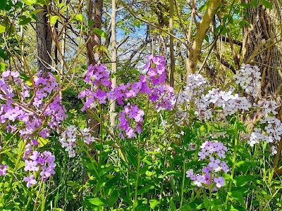 Sycamore Creek Park Softball Fields photo 3