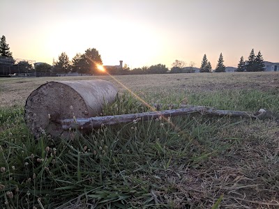 Tahoe Tallac Little League photo 3
