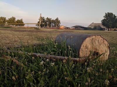 Tahoe Tallac Little League photo 5