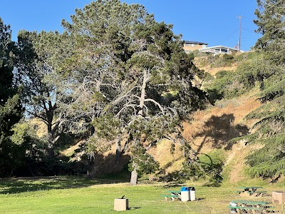 Tecolote Youth Baseball photo 5