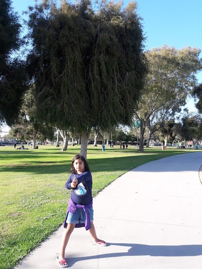 Ted Williams Field photo 2