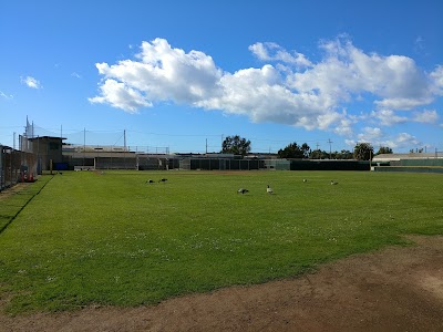 Tepper SF Little League Field photo 3