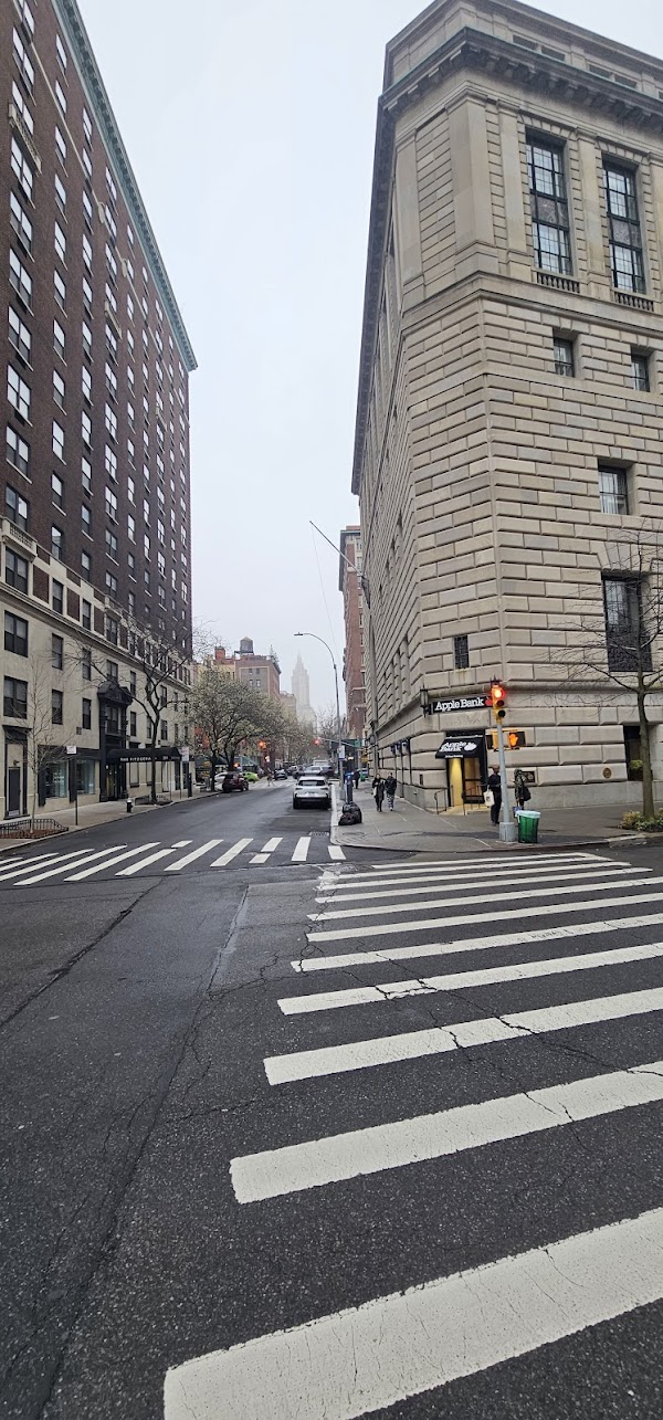 The Baseball Center NYC photo 2