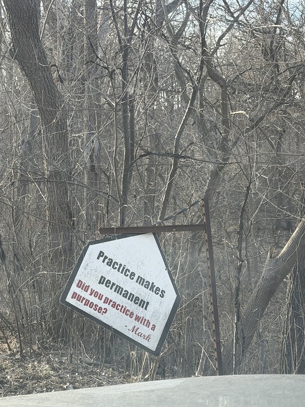 The Blind Guy Hitting