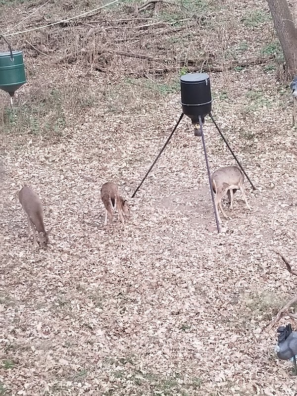 The Blind Guy Hitting photo 3