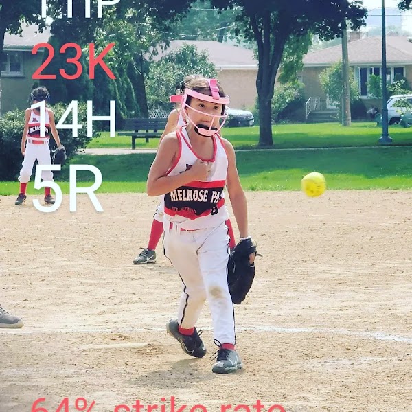 The Cage Chicago, Inc photo 3