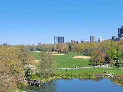 The Great Lawn photo 2