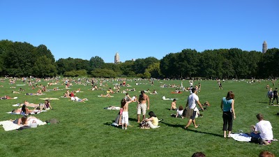 The Great Lawn photo 4