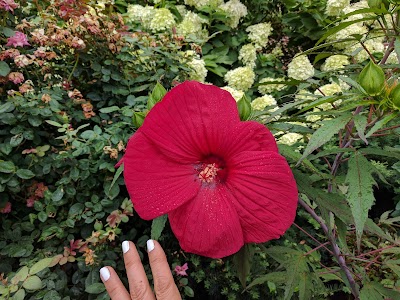 Thomas Jefferson Park photo 4